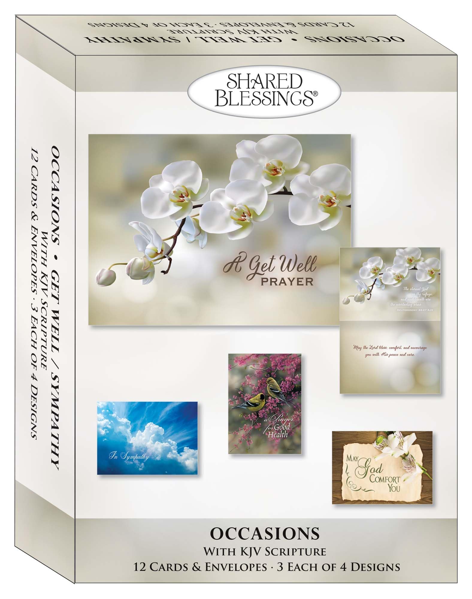 weg『Resistance & The Blessing』4LP サイン入り Amazon.com : Shared Blessings Get Well and Sympathy 12 Card